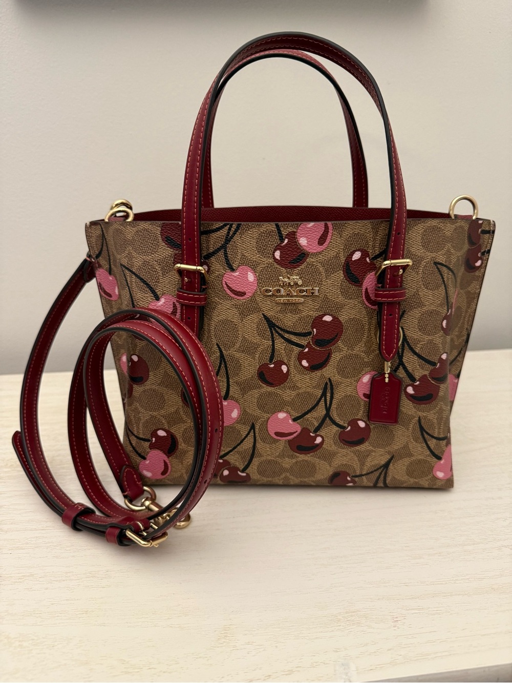 Coach Mollie 25 Tote